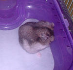 ケージに篭ってしまったユウキ