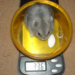 すくすく体重増加中