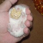 顔をが見えません