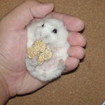 やっと、顔が見えました