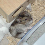 目薬が落ちてきてびっくりしたユウキ