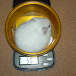 アイは体重減少せず