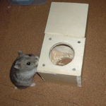 齧りまくられています