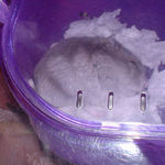 ケージの2階で眠ってました