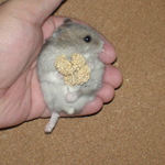 もう、そっぽ向いてるし