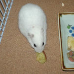 さつまいもチップを食べているアイ