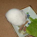 蕎麦の実に食いつくアイ