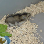 走り回るユウキ