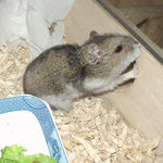 帰ろうとしているユウキ