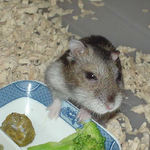 大分元気になりました