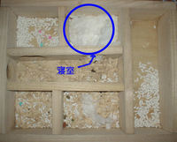 地下型巣箱の使用状況(ユウキ)