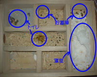 地下型巣箱の使用状況(アイ)