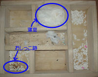 地下型巣箱の使用状況(ユウキ)