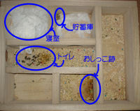 地下型巣箱の使用状況(アイ)