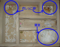 地下型巣箱の使用状況(ユウキ)