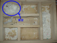 地下型巣箱の使用状況(ユウキ)