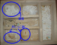 地下型巣箱の使用状況(ユウキ)