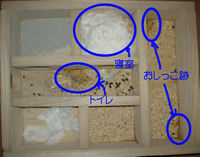 地下型巣箱の使用状況(アイ)