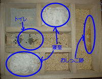地下型巣箱の使用状況(アイ)