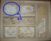 地下型巣箱の使用状況(ユウキ)