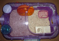 コーキのケージ