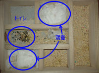 地下型巣箱の使用状況(アイ)