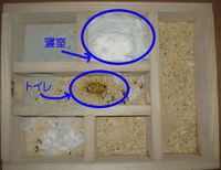 地下型巣箱の使用状況(アイ)