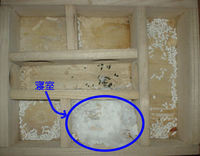 地下型巣箱の使用状況(ユウキ)