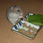 ミートジャーキーを食べてます