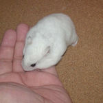 ひま種を受け取るアイ