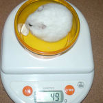 アイは体重変わらず