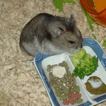 ブロッコリーを食べるユウキ