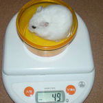 アイも体重は変わらず