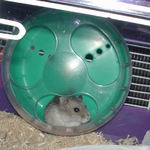 回した直後です