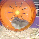 気に入ったようです