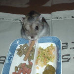 ミートジャー気を食べるユウキ