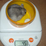 少し体重増えました