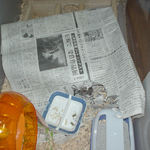 新聞紙がビリビリ