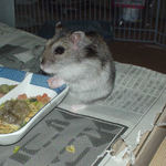 落ち着きがあります