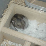 ユウキは寝てました