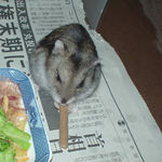 ミートジャーキーを食べるユウキ