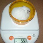 アイは体重変わらず