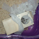 上を見上げているコーキ