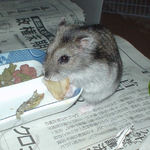 バナナチップを食べるユウキ