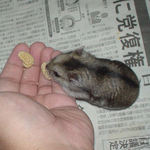 粟の穂を受け取るユウキ