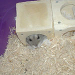 まだ眠そうなコーキ