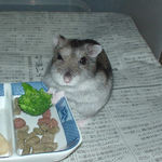 ブロッコリーを食べるユウキ