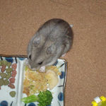 バナナチップを食べるコーキ