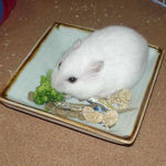 ブロッコリーを食べるアイ