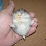 角度をかえてもカメラ目線